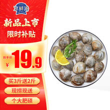 鲜动生活 京鲜港 鲜活大美贝 5斤 每斤15-20粒