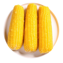 PLUS:自营 穗康 黄糯玉米 真空锁鲜230g*10支 粘玉米