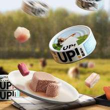 YOOIU 有鱼 UP系列主食罐小扁罐 混合口味 100g*12罐
