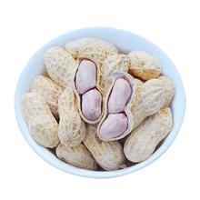 可用签到红包 蒜香味五香味奶油味花生1斤
