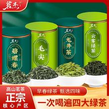 百亿补贴：MINGJIE 茗杰 龙井毛尖碧螺春500g