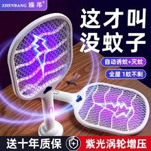 ZHENBANG 臻邦 电蚊拍灭蚊灯驱蚊神器充电式紫光诱蚊自动灭蚊苍蝇拍电网拍二合一 普惠