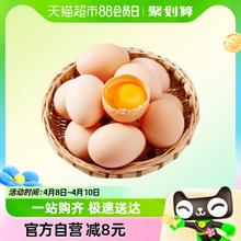 蛋悠品 新鲜散养柴鸡蛋自养笨鸡蛋土鸡蛋45g*6枚谷草鸡蛋