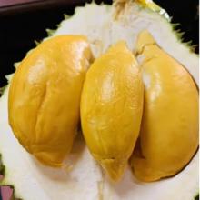 百果捞铺子 泰国新鲜进口 托尼曼榴莲 8-10斤/3-4个