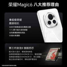 荣耀Magic6 单反级荣耀鹰眼相机 荣耀巨犀玻璃 第二代青海湖电池 12GB+256GB 祁连雪 5G AI手机
