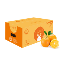 PLUS会员：宏辉果蔬 十八臻橙 铂金果 3kg 礼盒装*5件
