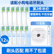 HOVEY 皓卫 适用于小狗电动牙刷头Y1/声波美白清洁软毛通用牙刷刷头成人替换头 白色清洁型 12支