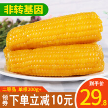 【非转基因】禾久黄糯鲜食甜糯即黏玉米棒粗粮食真空10条装包邮