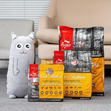 渴望猫粮成幼猫鸡肉配方全价猫粮加拿大进口无谷猫粮 渴望橘猫猫粮5.4kg（官网可查）