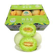 高品质 爆甜 山东冰淇淋玉菇甜瓜 4.5斤 产地现摘直发