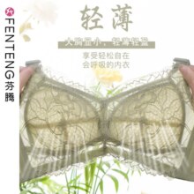 芬腾内衣女士无钢圈大胸显小光面薄款透气文胸聚拢无痕全罩杯胸罩 2件装更优惠 XL 【推荐85BCD】