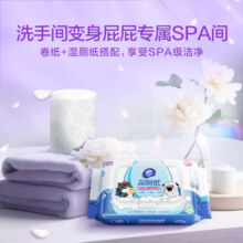 维达维达（Vinda）卷纸棉韧压花无芯卷纸纸巾120克24卷卫生纸家用厕纸 120克/24卷
