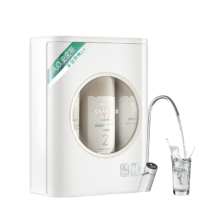 史密斯（A.O.SMITH）佳尼特净水器 家用1000G厨下式直饮净水机 CXR1000-A1