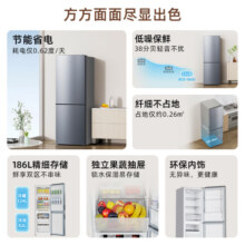 创维(SKYWORTH) 186升小冰箱 双门小型电冰箱 家用/租房两门 两天约一度电 节能低音 【省电双门】 186升 银色