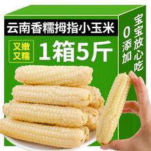 鲜程祥合 云南 西双版纳 拇指小玉米 净重5斤 不用券实付
