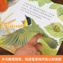【官方正版】乐乐趣触摸书小兔比利亮丽精美触摸书系列0-2-3岁婴幼儿中英双语启蒙认知触觉早教故事书宝宝手指触摸书