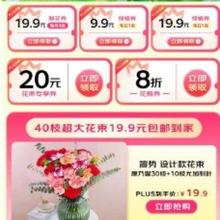 促销活动：京东 PLUS会员鲜花特权 定制鲜花/绿植