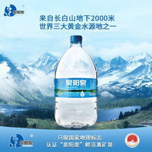泉阳泉 长白山天然矿泉水 12L 需买两件
