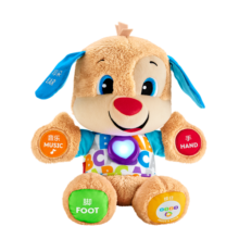 费雪（Fisher-Price）五官学习毛绒玩具礼物婴幼儿玩具-学习小伙伴毛绒皮皮狗GFN95