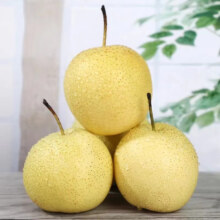 PLUS会员：远达YUANDA 正宗赵县雪花特产梨 带箱9.5-10斤