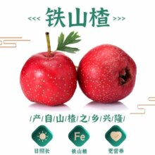 巨源 原味山楂400g*2袋 山楂果丹皮 特产红果脯蜜饯办公休闲零食小吃