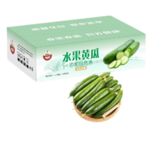 京地达山东水果小黄瓜 5斤装