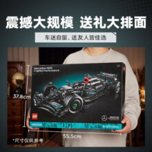 乐高（LEGO）积木拼装机械组系列42171 梅赛德斯赛车不可遥控男孩玩具生日礼物
