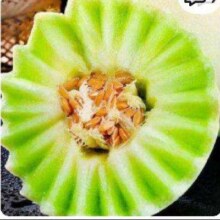 再降价：文枝 正宗玉菇甜瓜 南汇冰激凌甜瓜 应季现摘水果 5斤带箱