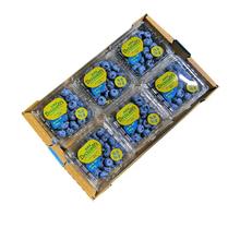 言果纪 蓝莓 125g/6盒 果径12-14mm （不用券实付）