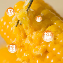 新活动、百亿补贴:京百味东北黄糯玉米 8根*200g
