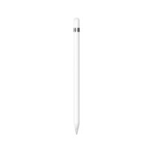 Apple Pencil (第一代) 含USB-C转换器 适用iPad mini5/iPad Air3/iPad 10.2英寸(第九/十代)