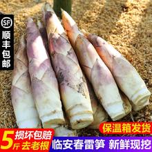 百亿补贴：众知鲜 正宗临安春笋5斤天目山雷笋新鲜带壳蔬菜3斤