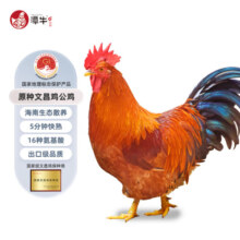 潭牛海南文昌鸡整鸡1kg散养土鸡肉生鲜冷冻 供港品牌椰子鸡走地鸡
