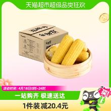88VIP会员：88VIP：采甜农新鲜玉米黄糯玉米8支装1.76kg/箱
