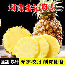 果尚语 海南金钻凤梨 5斤
