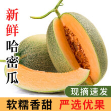 plus会员:京果源 西州蜜哈密瓜  5斤精选装 2-3个