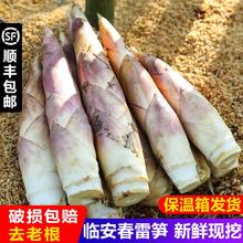 众知鲜 正宗临安天目山雷笋竹笋野生春笋农家蔬菜当季鲜笋
