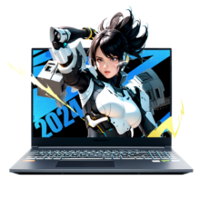 plus会员：机械革命（MECHREVO）极光Pro 16英寸笔记本(i7-13650HX 16G 1T RTX4060 165HZ 2.5K屏 双液金散热)