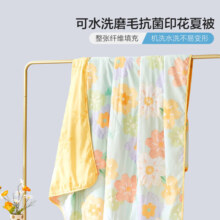 百丽丝 夏被抗菌印花空调被纤维被夏季被子床上用品 春意盎趣【清新花卉系列】 200cmx230cm