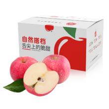 plus会员：京鲜生 陕西洛川红富士苹果 净重2.5kg 单果200g