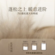 亚朵星球 舒暖抗菌 90%鸭绒被 羽绒被子 冬被 1000g 200*230cm灰