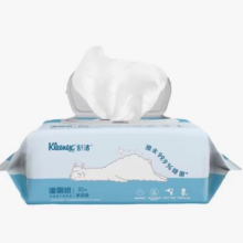 4日10点、限4000件、聚划算百亿补贴：舒洁 湿厕纸家庭装80抽 洁厕湿巾私处专用擦屁股湿纸巾