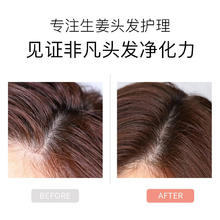 BIYAMAN 碧雅漫 生姜洗发水 300mlX2瓶