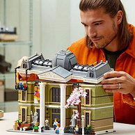 LEGO 乐高 街景系列 10326 自然历史博物馆