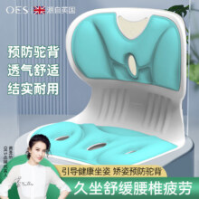 OES 护腰靠垫防驼背护腰椎矫正器 3色