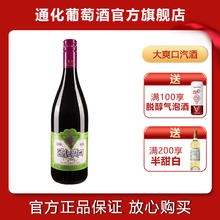 TONHWA 通化葡萄酒 爽口山葡萄加气露酒 720ml