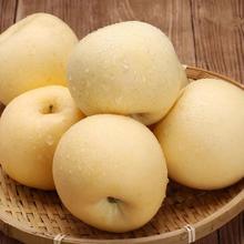 冰茜 山东奶油富士 5斤6-9个单果85mm＋