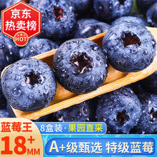 望果仙 蓝莓 18mm+ 大果装 125g*8盒