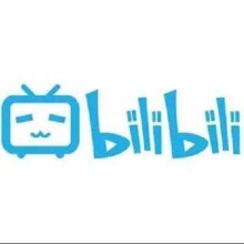 再降价：bilibili 哔哩哔哩 电视大会员年卡12个月