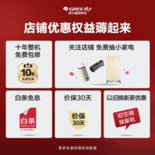 格力（GREE）空调【线下同款】天丽 1.5匹 新三级能效挂机 新国标  变频冷暖 高温自清洁 18分贝低噪 1.5匹 三级能效 皓雪白